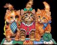3 petit chats