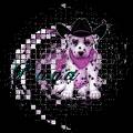 disco