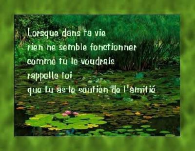 LAMITIée