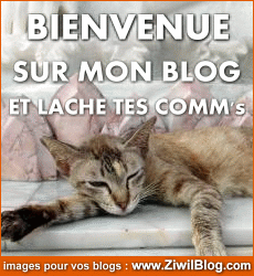 lacher vos comms