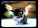 mimi tout plein ......