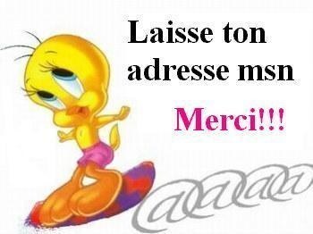 laisse ton add