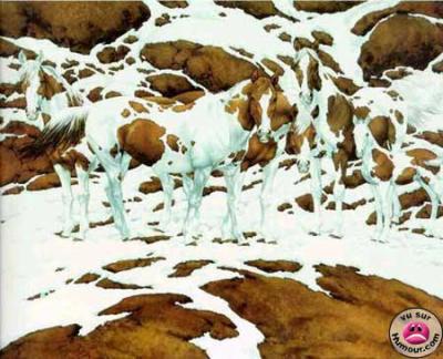 il y a ................ de chevaux